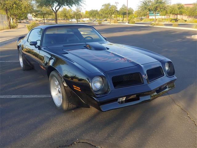 1976 Pontiac Firebird Trans Am for Sale