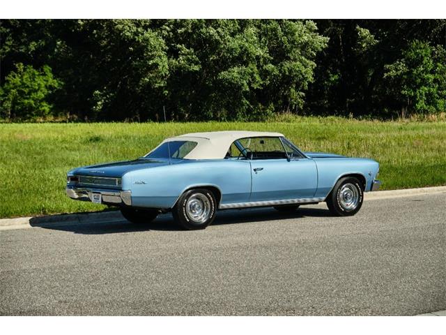 1966 Chevrolet Chevelle Malibu (CC-1599064) for sale in Winter Garden, Florida