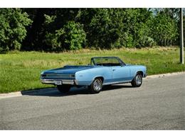 1966 Chevrolet Chevelle Malibu (CC-1599064) for sale in Winter Garden, Florida