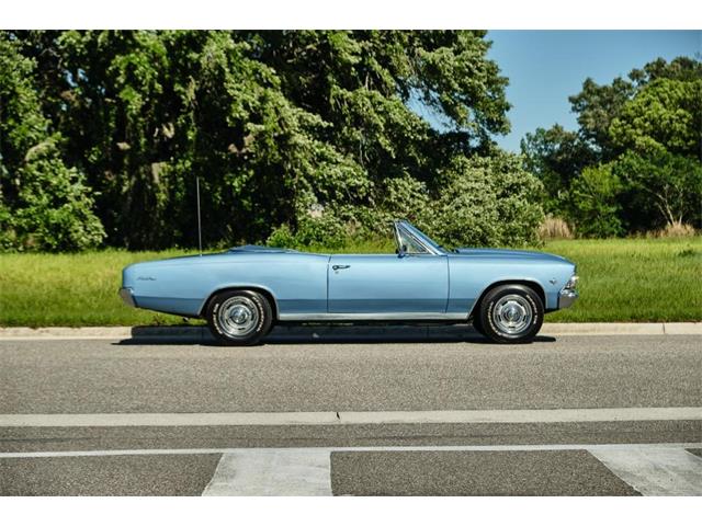 1966 Chevrolet Chevelle Malibu (CC-1599064) for sale in Winter Garden, Florida