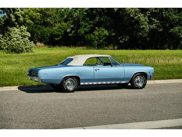 1966 Chevrolet Chevelle Malibu (CC-1599064) for sale in Winter Garden, Florida