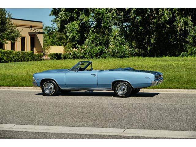 1966 Chevrolet Chevelle Malibu (CC-1599064) for sale in Winter Garden, Florida