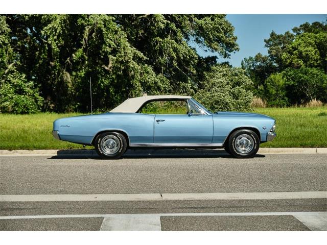 1966 Chevrolet Chevelle Malibu (CC-1599064) for sale in Winter Garden, Florida
