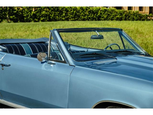1966 Chevrolet Chevelle Malibu (CC-1599064) for sale in Winter Garden, Florida