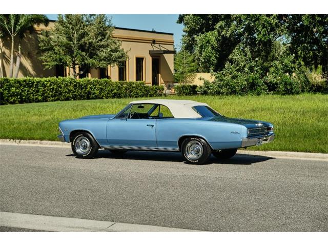 1966 Chevrolet Chevelle Malibu (CC-1599064) for sale in Winter Garden, Florida