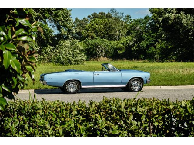 1966 Chevrolet Chevelle Malibu (CC-1599064) for sale in Winter Garden, Florida
