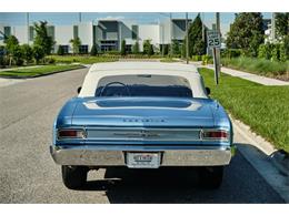 1966 Chevrolet Chevelle Malibu (CC-1599064) for sale in Winter Garden, Florida