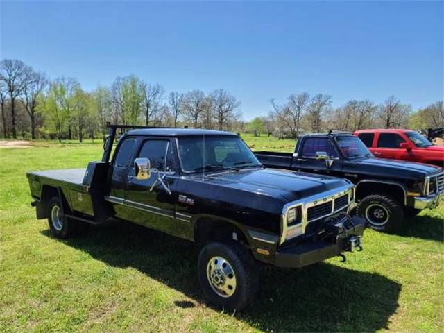 1991 Dodge Pickup (CC-1590957) for sale in Cadillac, Michigan