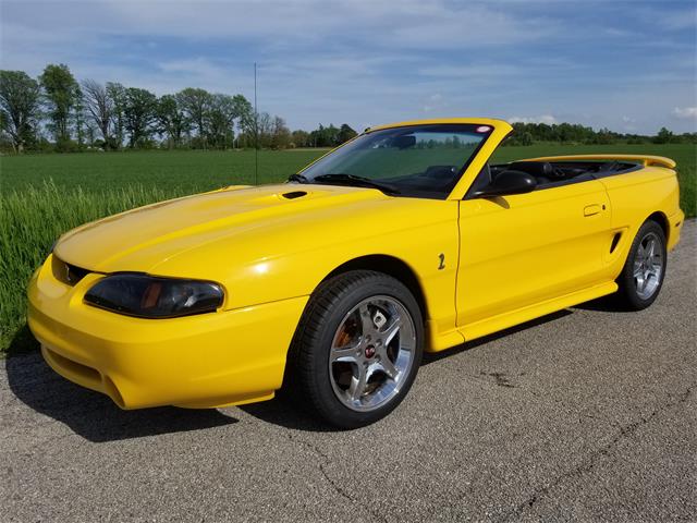 1998 Ford Mustang SVT Cobra (CC-1599678) for sale in tiffin, Ohio