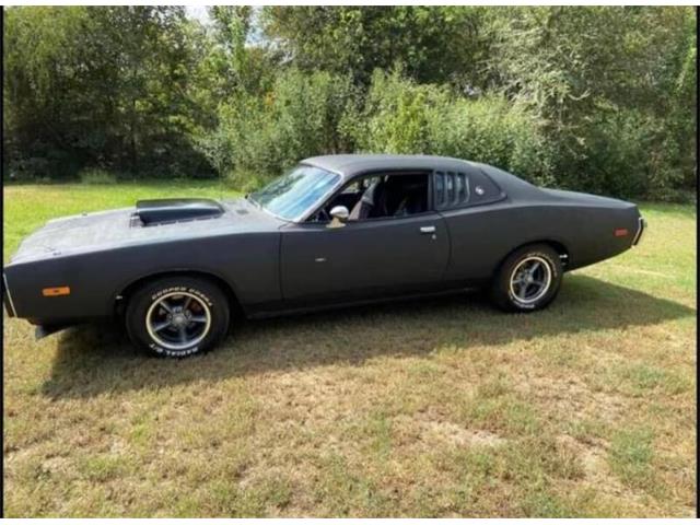 1973 Dodge Charger (CC-1601374) for sale in Cadillac, Michigan