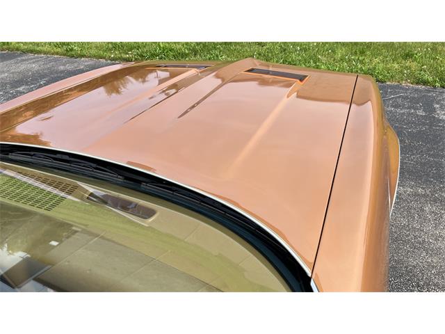 1978 Pontiac Firebird Formula (CC-1600219) for sale in Milford, Ohio