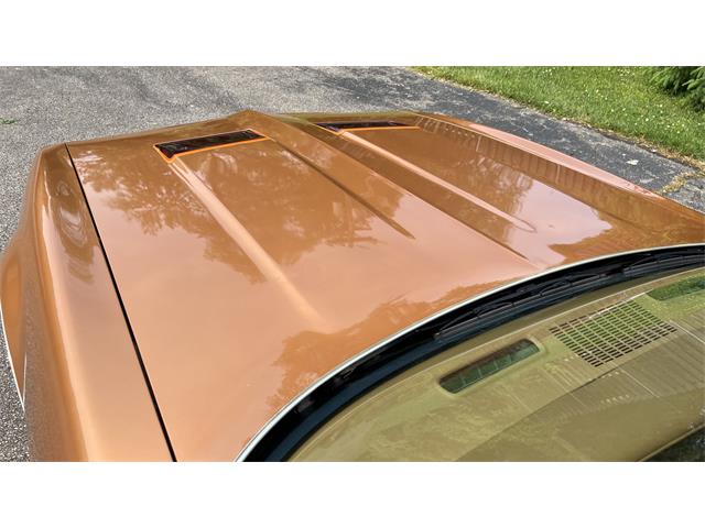 1978 Pontiac Firebird Formula (CC-1600219) for sale in Milford, Ohio