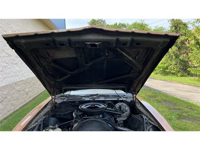 1978 Pontiac Firebird Formula (CC-1600219) for sale in Milford, Ohio