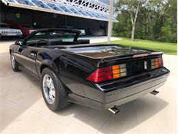 1988 Chevrolet Camaro IROC Z28 (CC-1602346) for sale in Palmetto, Florida
