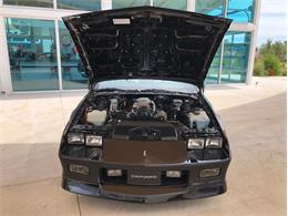 1988 Chevrolet Camaro IROC Z28 (CC-1602346) for sale in Palmetto, Florida