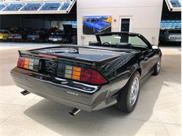 1988 Chevrolet Camaro IROC Z28 (CC-1602346) for sale in Palmetto, Florida