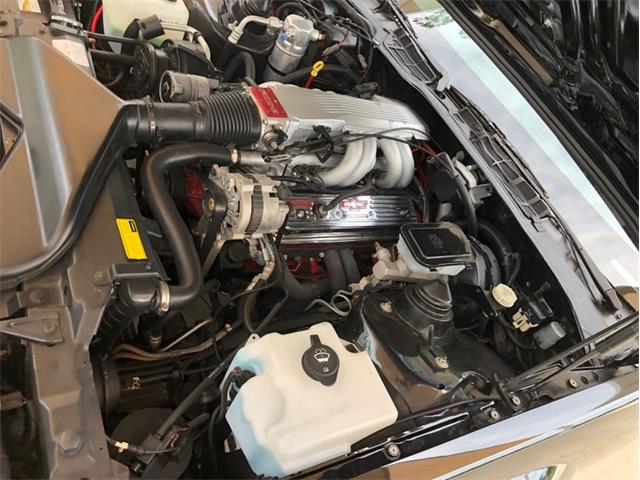 1988 Chevrolet Camaro IROC Z28 (CC-1602346) for sale in Palmetto, Florida