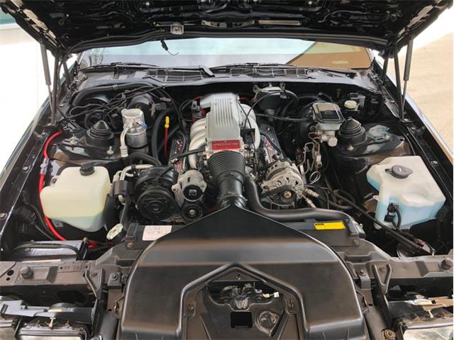 1988 Chevrolet Camaro IROC Z28 (CC-1602346) for sale in Palmetto, Florida