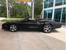 1988 Chevrolet Camaro IROC Z28 (CC-1602346) for sale in Palmetto, Florida