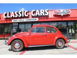 1966 Volkswagen Beetle (CC-1602398) for sale in Sarasota, Florida