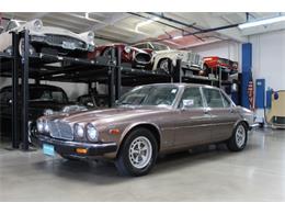 1986 Jaguar XJ6 Vanden Plas (CC-1602467) for sale in Torrance, California
