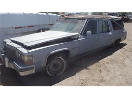 1981 Cadillac Fleetwood (CC-1603509) for sale in Casa Grande, Arizona