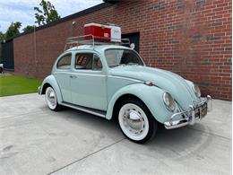 1964 Volkswagen Beetle (CC-1603764) for sale in Greensboro, North Carolina