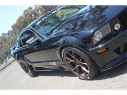 2006 Ford Mustang (Saleen) (CC-1603893) for sale in SAN DIEGO, California