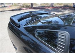 2006 Ford Mustang (Saleen) (CC-1603893) for sale in SAN DIEGO, California