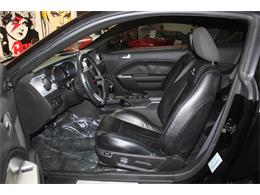 2006 Ford Mustang (Saleen) (CC-1603893) for sale in SAN DIEGO, California