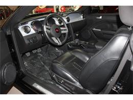 2006 Ford Mustang (Saleen) (CC-1603893) for sale in SAN DIEGO, California