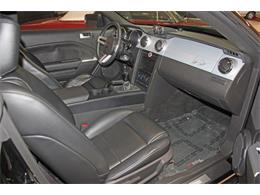 2006 Ford Mustang (Saleen) (CC-1603893) for sale in SAN DIEGO, California