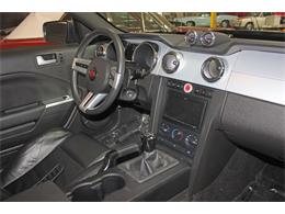 2006 Ford Mustang (Saleen) (CC-1603893) for sale in SAN DIEGO, California