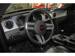 2006 Ford Mustang (Saleen) (CC-1603893) for sale in SAN DIEGO, California