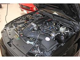 2006 Ford Mustang (Saleen) (CC-1603893) for sale in SAN DIEGO, California