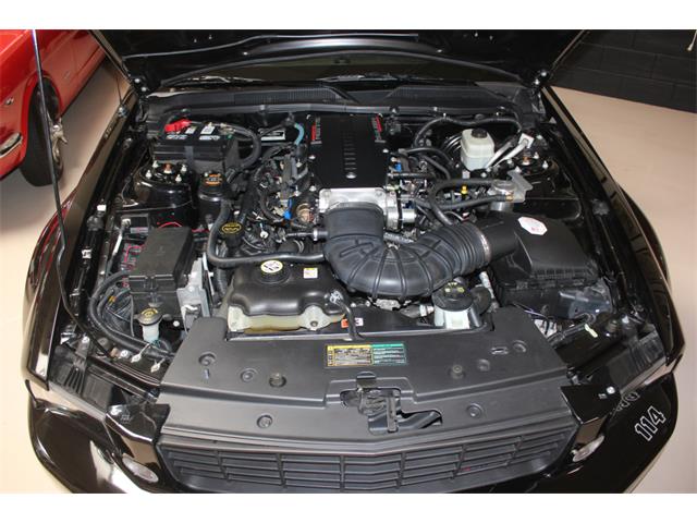 2006 Ford Mustang (Saleen) (CC-1603893) for sale in SAN DIEGO, California