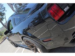 2006 Ford Mustang (Saleen) (CC-1603893) for sale in SAN DIEGO, California