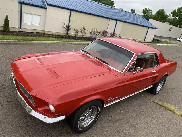 1967 Ford Mustang (CC-1603922) for sale in Hamilton, New Jersey