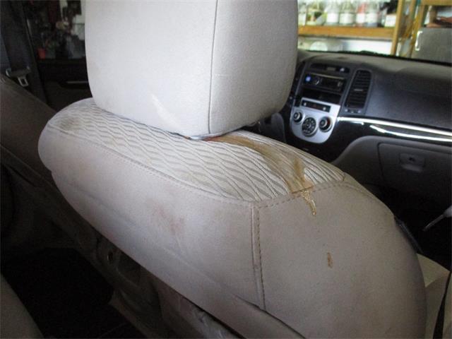 2007 Hyundai Santa Fe (CC-1604269) for sale in Sterling, Illinois