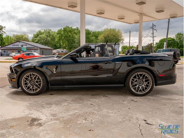 2012 Shelby GT500 (CC-1604587) for sale in Montgomery, Minnesota