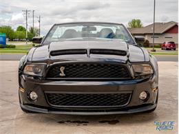 2012 Shelby GT500 (CC-1604587) for sale in Montgomery, Minnesota