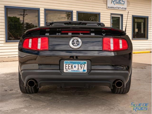 2012 Shelby GT500 (CC-1604587) for sale in Montgomery, Minnesota