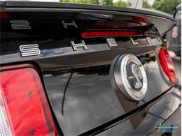 2012 Shelby GT500 (CC-1604587) for sale in Montgomery, Minnesota