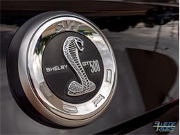 2012 Shelby GT500 (CC-1604587) for sale in Montgomery, Minnesota