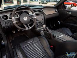 2012 Shelby GT500 (CC-1604587) for sale in Montgomery, Minnesota