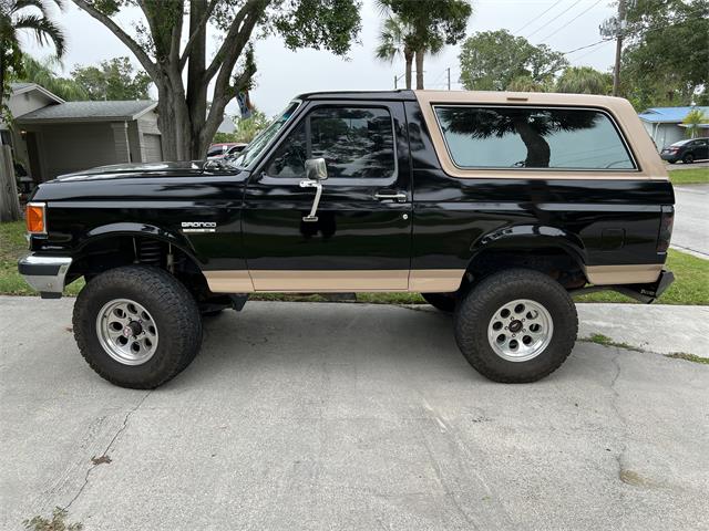 1989 Ford Bronco (CC-1600480) for sale in St Petersburg, Florida