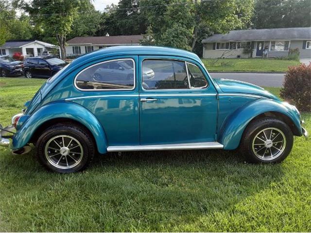 1965 Volkswagen Beetle (CC-1605149) for sale in Cadillac, Michigan