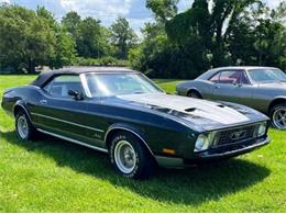 1973 Ford Mustang (CC-1605165) for sale in Cadillac, Michigan