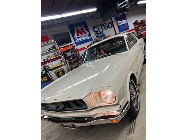 1966 Ford Mustang (CC-1605187) for sale in Cadillac, Michigan