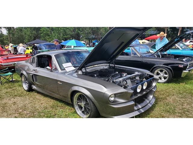 1967 Ford Mustang GT500 (CC-1605607) for sale in Plantation, Florida